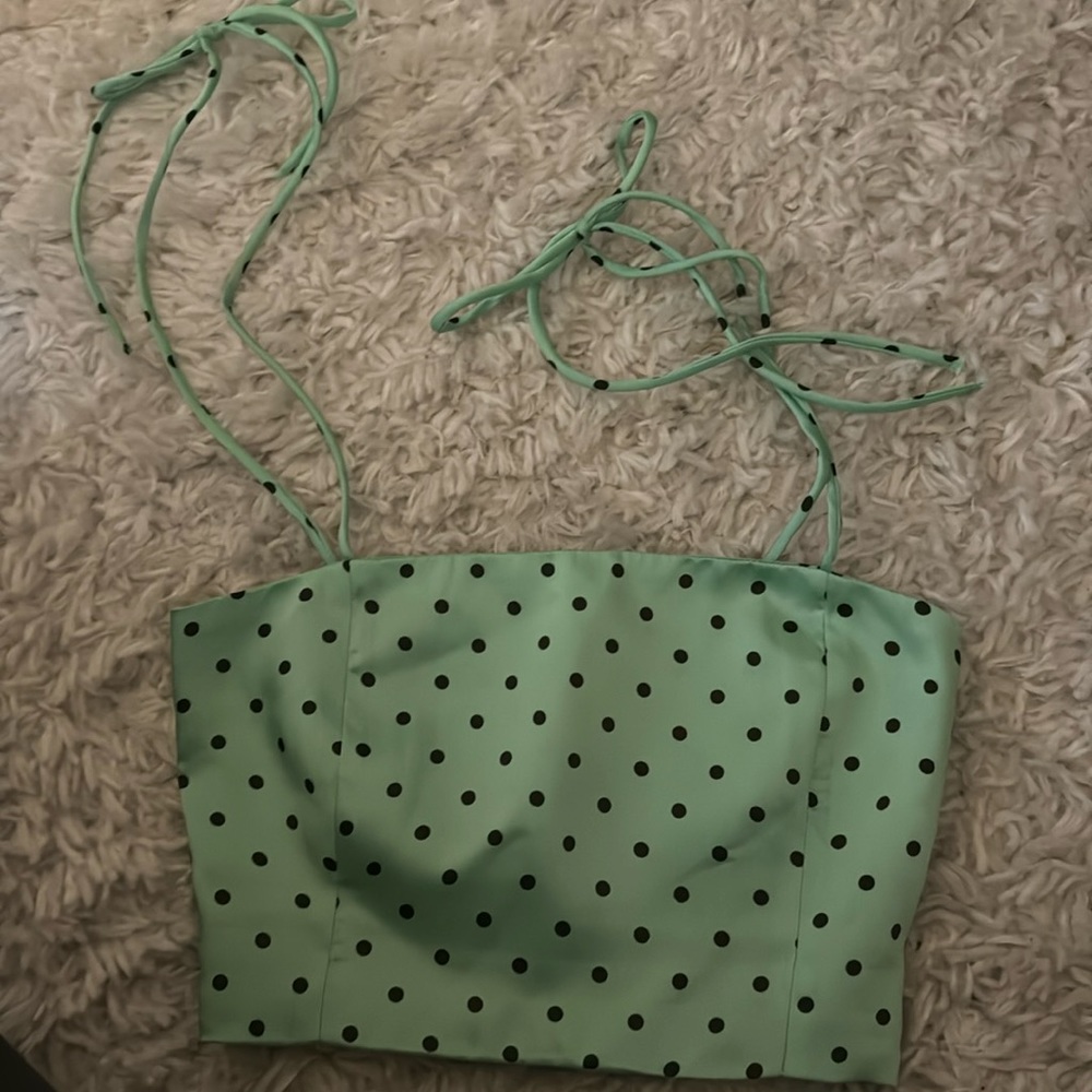 Zara Polka Dot Crop Top
